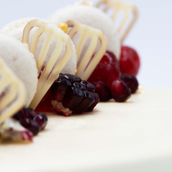 copy of Tort Black & White