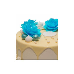 copy of Tort Storczyk w Bezie