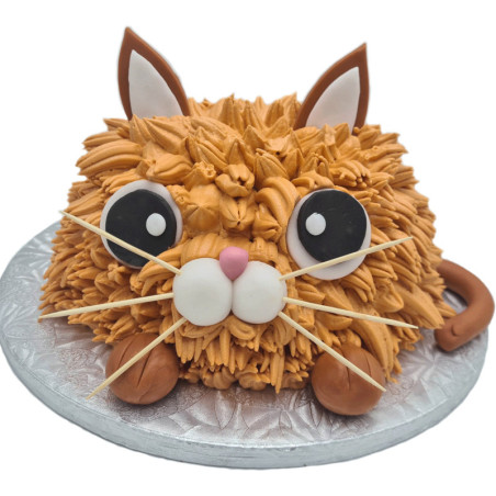 Tort Kotek