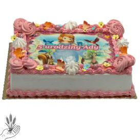 Tort Urodzinowy FOTO dla Dzieci  – prostokątny tort na zamówienie | Łódź