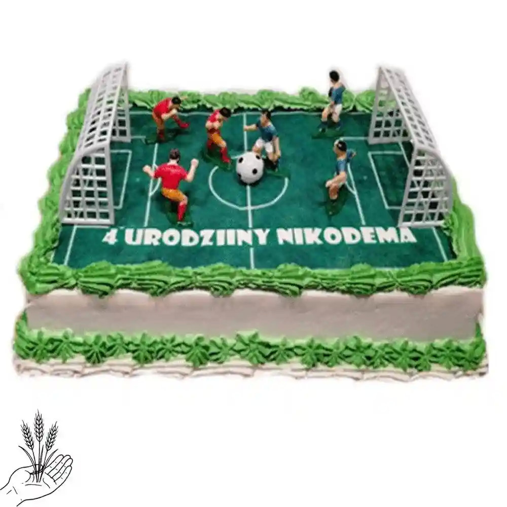 Tort Boisko z Piłkarzykami - tort dla sportowca|  Łódź