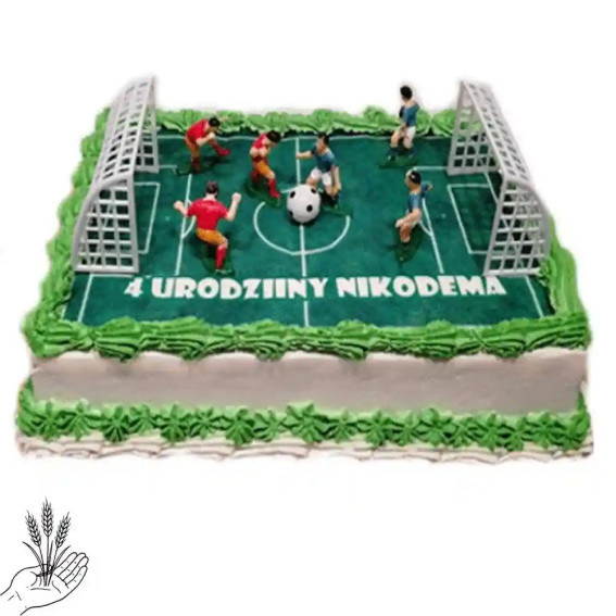 Tort Boisko z Piłkarzykami - tort dla sportowca|  Łódź
